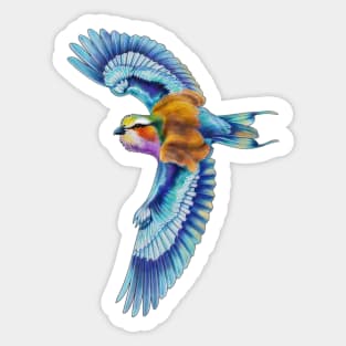 Lilac Breasted Roller Sticker